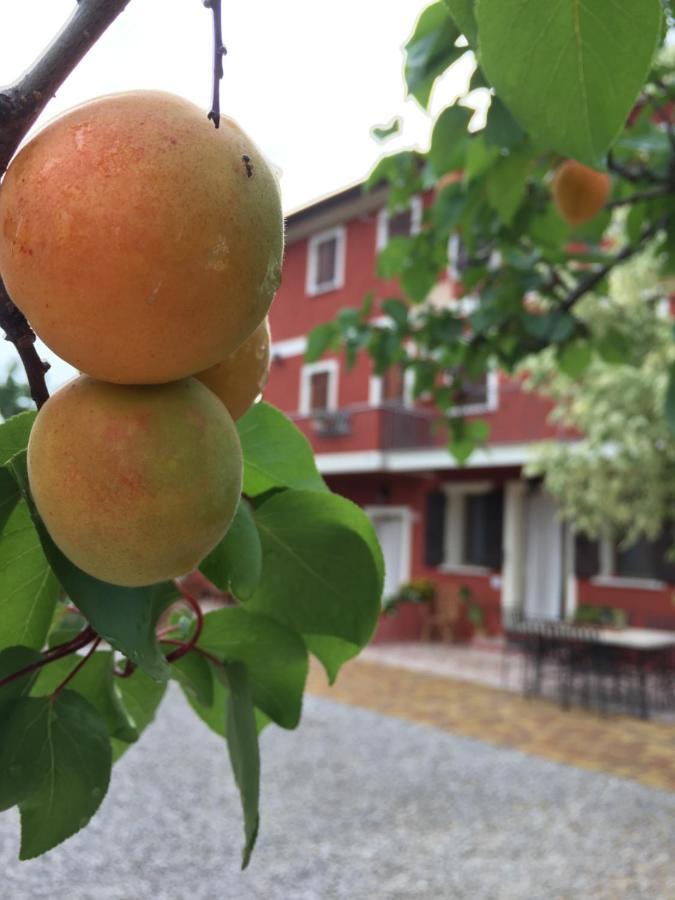 Soligo B&B Casa Del Conte المظهر الخارجي الصورة