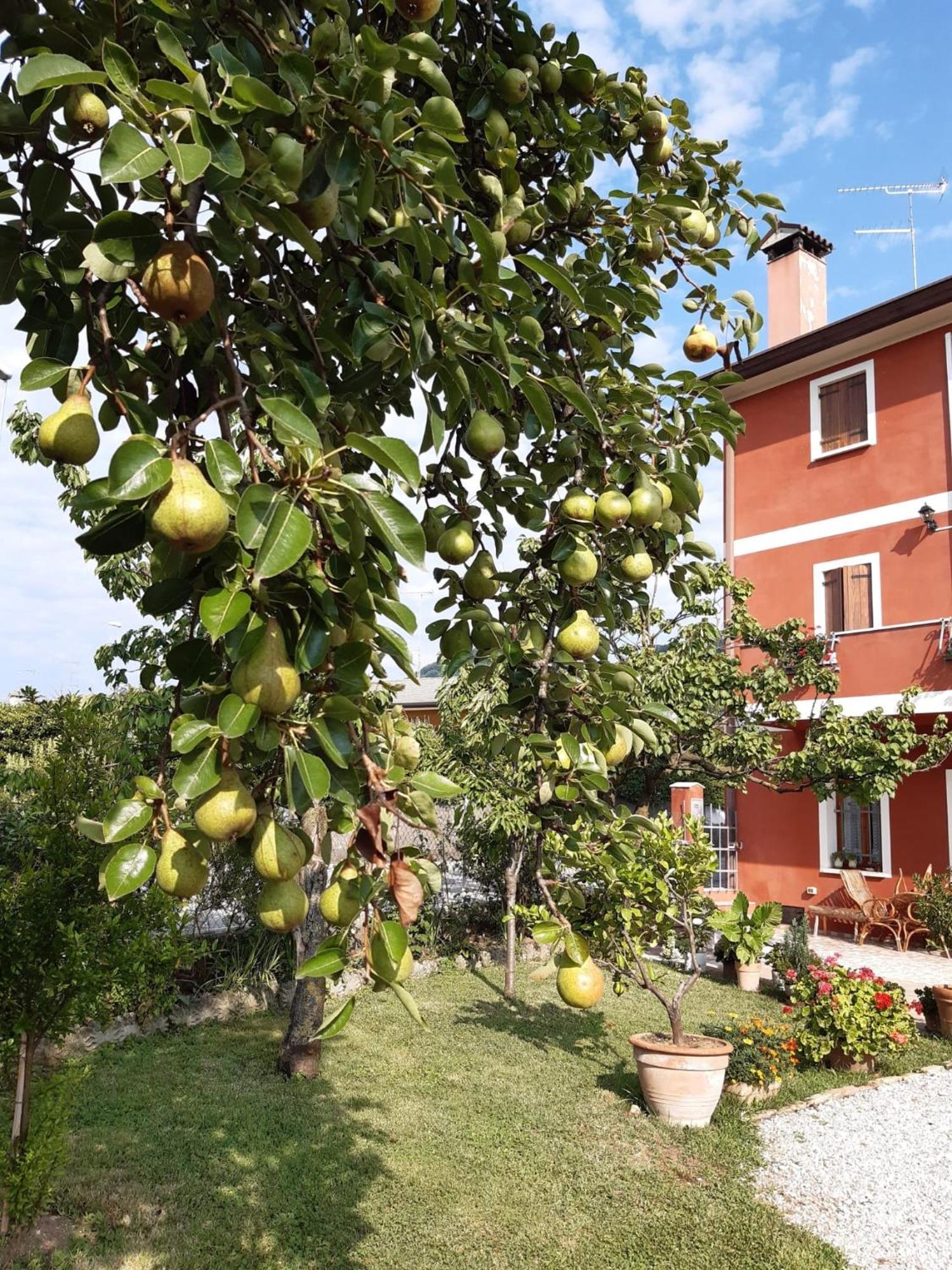 Soligo B&B Casa Del Conte المظهر الخارجي الصورة