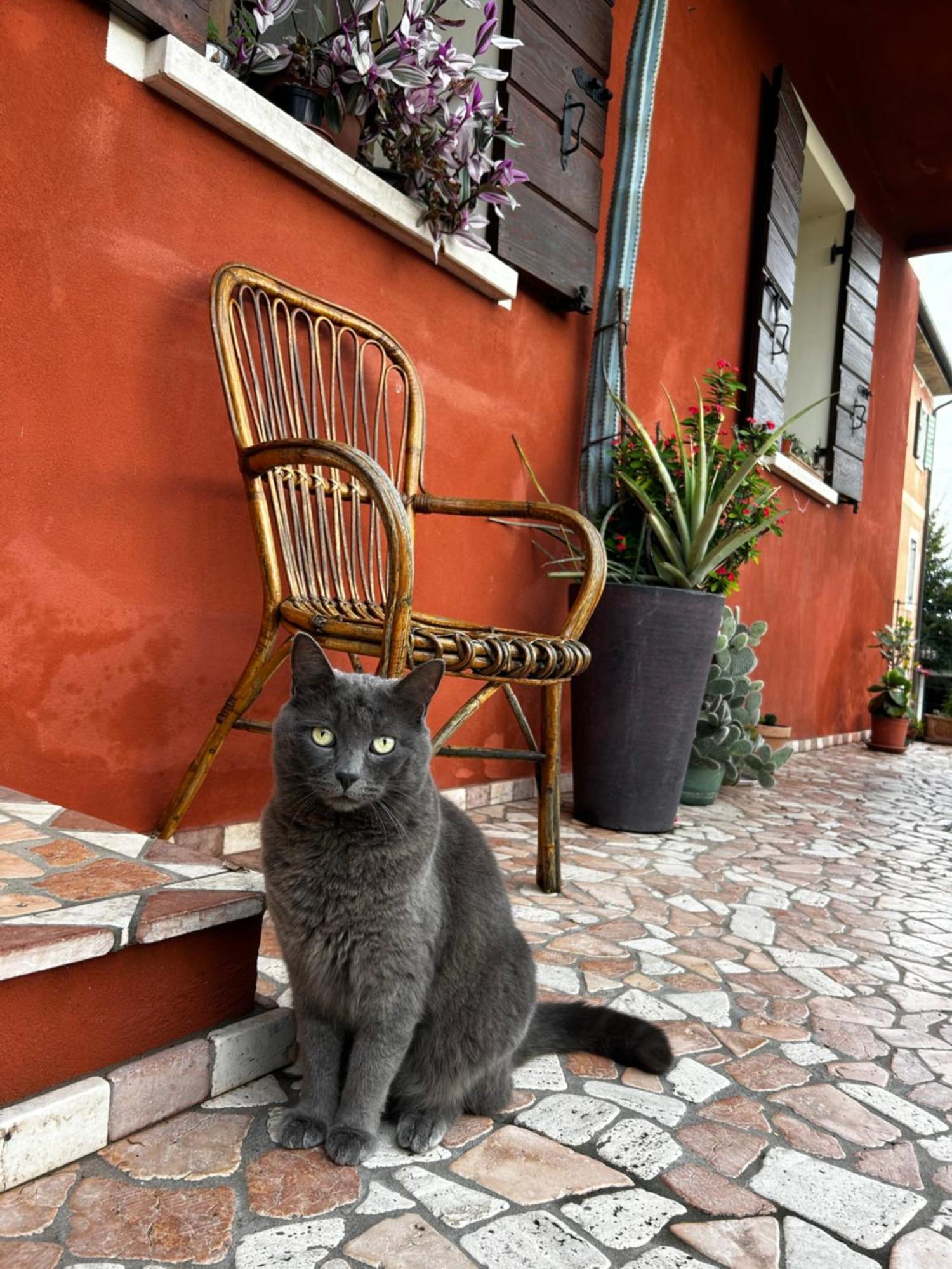 Soligo B&B Casa Del Conte المظهر الخارجي الصورة